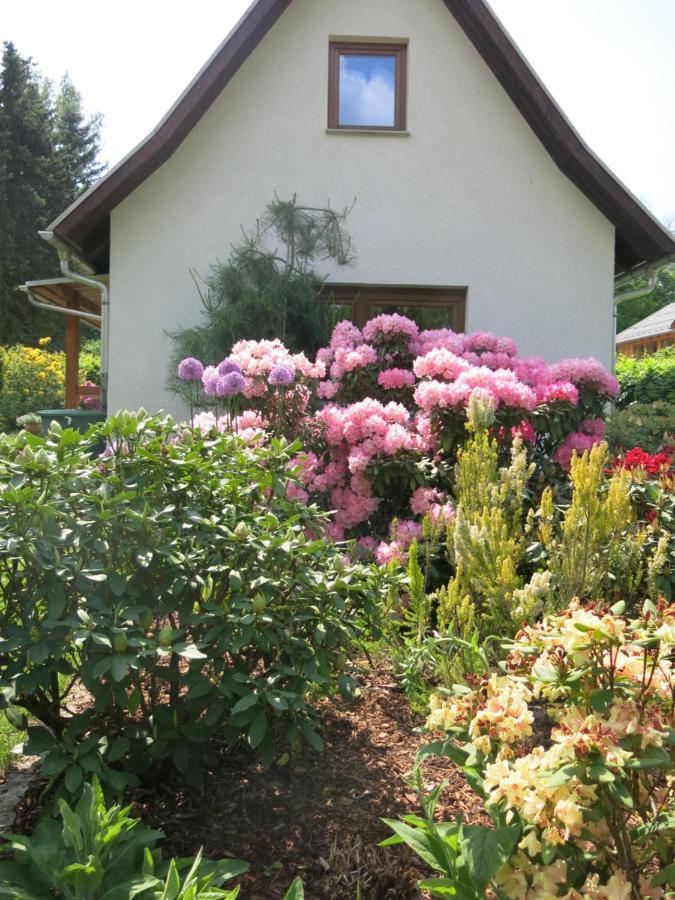 Privathaus Wehle Appartement Kurort Gohrisch Buitenkant foto